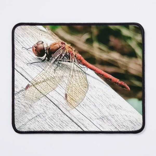 Item preview, Dragonfly designed and sold by DuffysCreations.