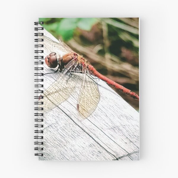 Item preview, Dragonfly  designed and sold by DuffysCreations.