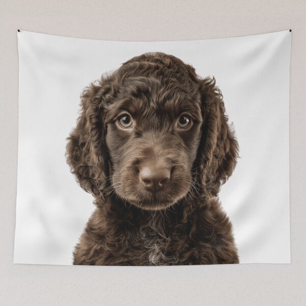Item preview, Adorable Irish Water Spaniel puppy for Cute Whiptail Spaniel puppy lovers designed and sold by LazyOwlStore.