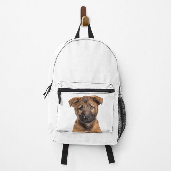 Item preview, Adorable Chinook puppy for Cute Chinook puppy lovers designed and sold by LazyOwlStore.