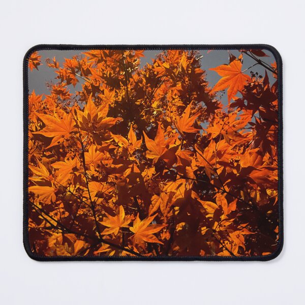 Item preview, Orange leaves designed and sold by BoxyFox.