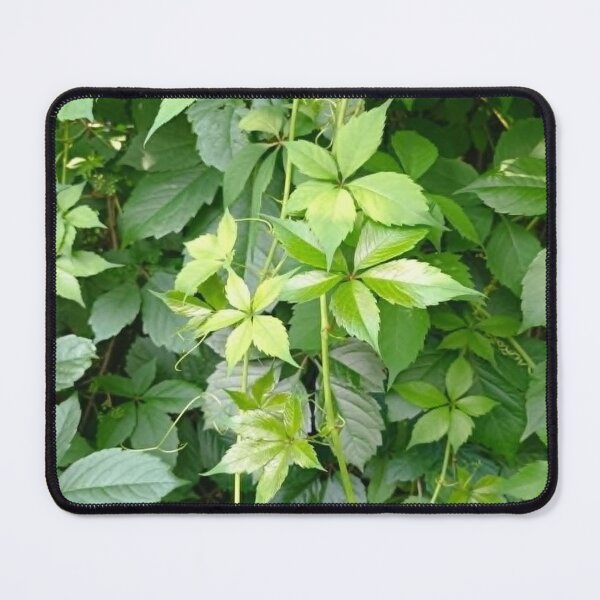 Item preview, Fresh Summer Leaves Pattern – Botanical Nature Design for Bathroom & Home Decor designed and sold by PureHopeStudio.