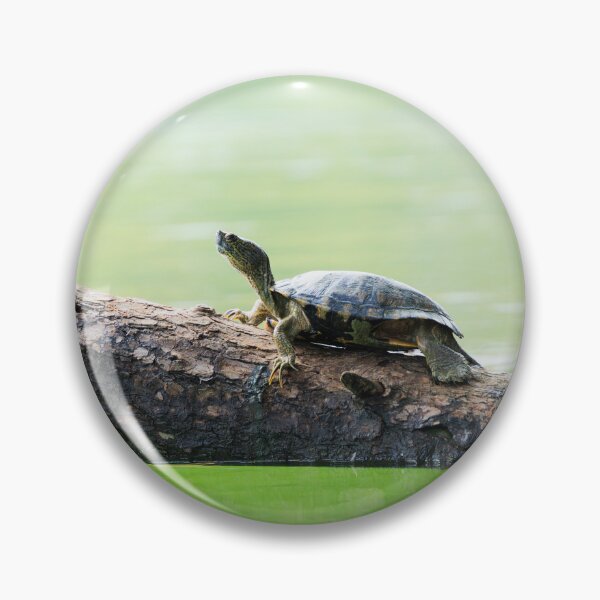 Item preview, Just Slow and Steady designed and sold by Terrain Stories.