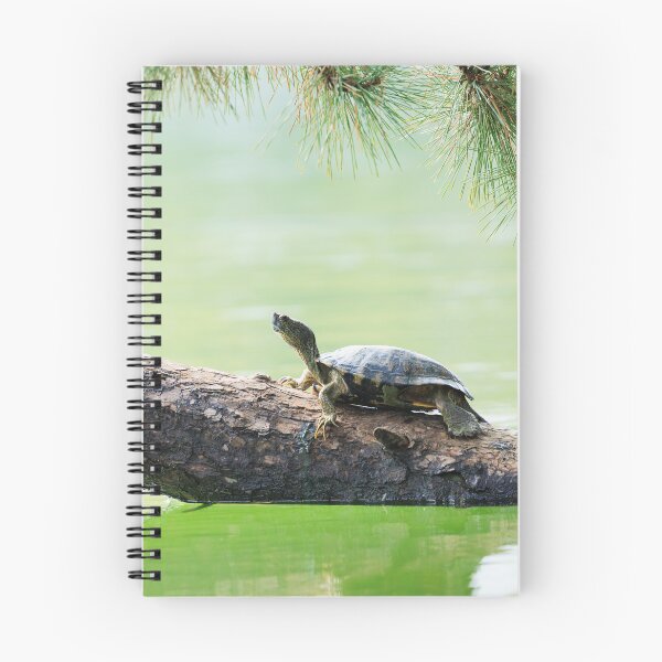 Item preview, Just Slow and Steady designed and sold by Terrain Stories.