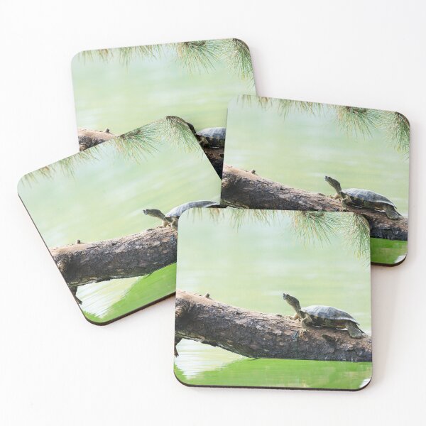 Item preview, Just Slow and Steady designed and sold by Terrain Stories.