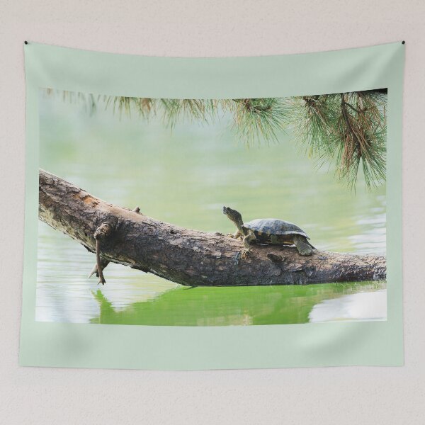 Item preview, Just Slow and Steady designed and sold by Terrain Stories.