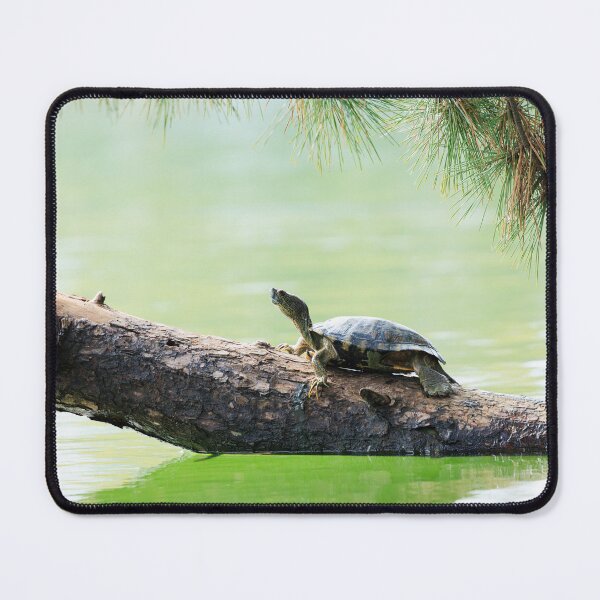 Item preview, Just Slow and Steady designed and sold by Terrain Stories.