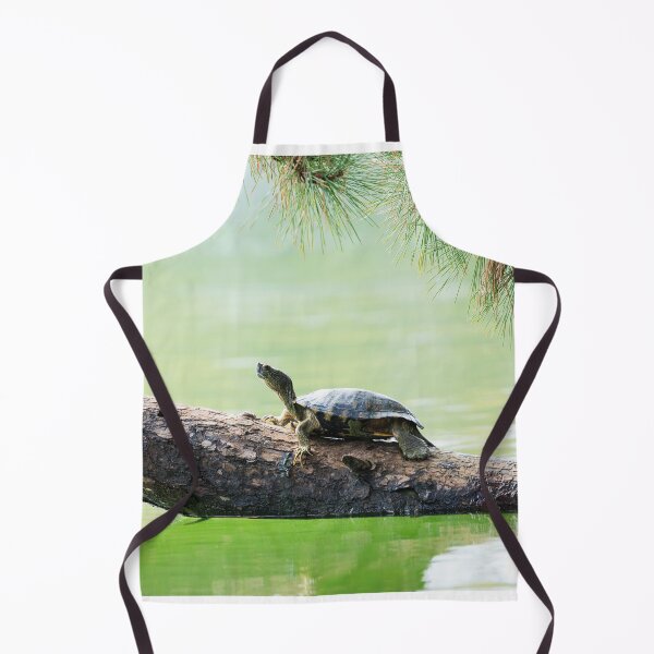 Item preview, Just Slow and Steady designed and sold by Terrain Stories.