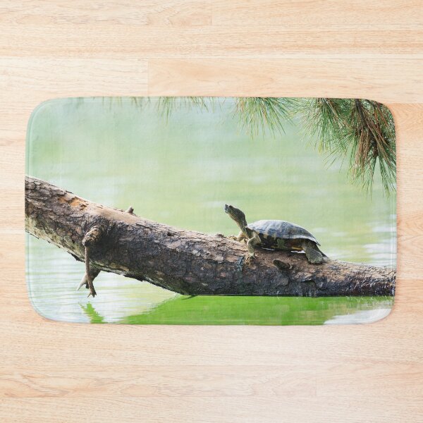 Item preview, Just Slow and Steady designed and sold by Terrain Stories.