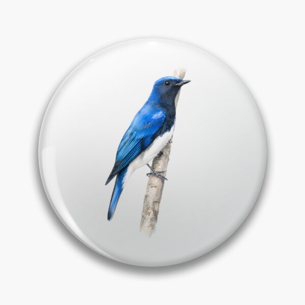 Item preview, Blue-and-white Flycatcher (Cyanoptila cyanomelana) designed and sold by HOMETOWN86.