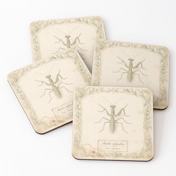 Item preview, Vintage Praying Mantis Specimen Natural History Plate designed and sold by PictorialWhimsy.