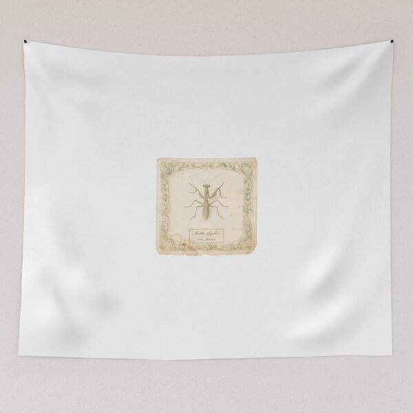 Item preview, Vintage Praying Mantis Specimen Natural History Plate designed and sold by PictorialWhimsy.