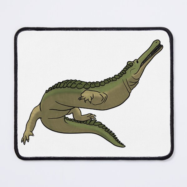 Item preview, Teleosaurus Makes a Turn designed and sold by PalaeoBros.