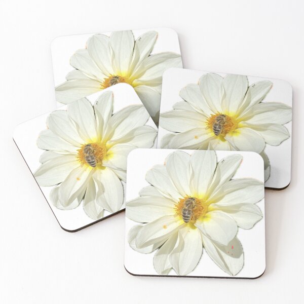 Item preview, White Dahlia Flower with Honeybee Pollinating Isolated on White designed and sold by BalkanBloom.