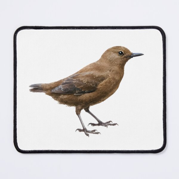 Item preview, Brown Dipper (Cinclus pallasii) designed and sold by HOMETOWN86.