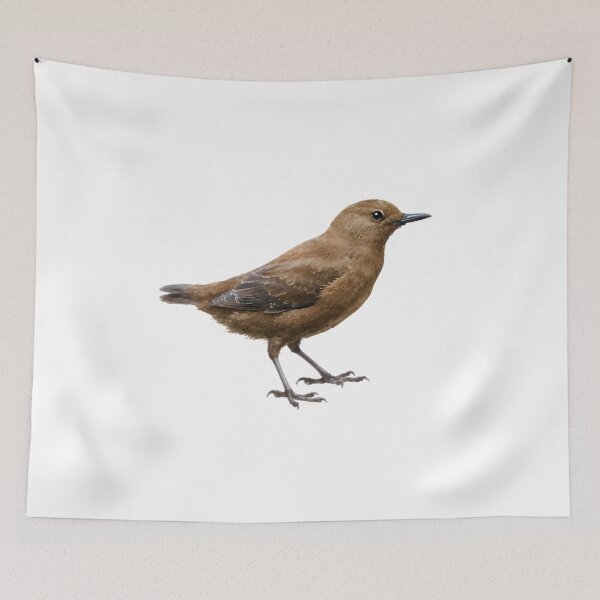 Item preview, Brown Dipper (Cinclus pallasii) designed and sold by HOMETOWN86.