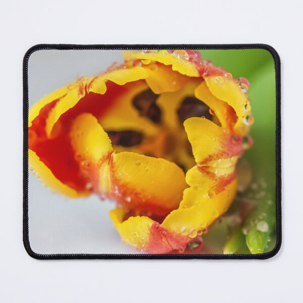 Item preview, Dewy Morning designed and sold by MariaAbaza.