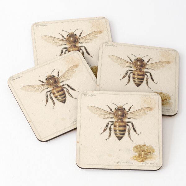 Item preview, Vintage Honeybee Natural History Specimen Plate designed and sold by PictorialWhimsy.