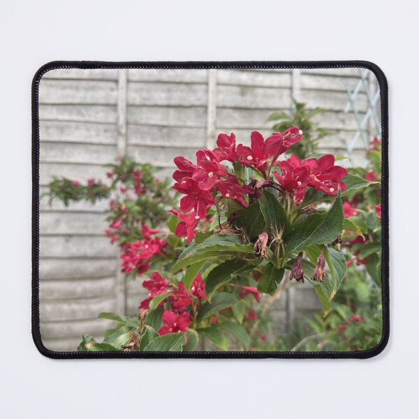 Item preview, Cotswold Countryside 91 designed and sold by Pretty Cotswold Designs.