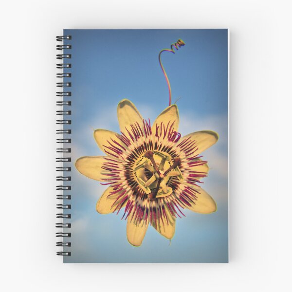 Item preview, Passion Flower designed and sold by JEZ22.