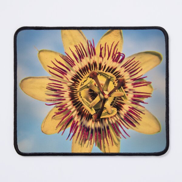 Item preview, Passion Flower designed and sold by JEZ22.