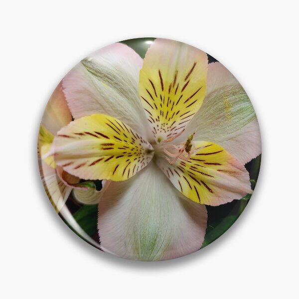 Item preview, Close up of an azalea flower photograph designed and sold by Raineylanes.
