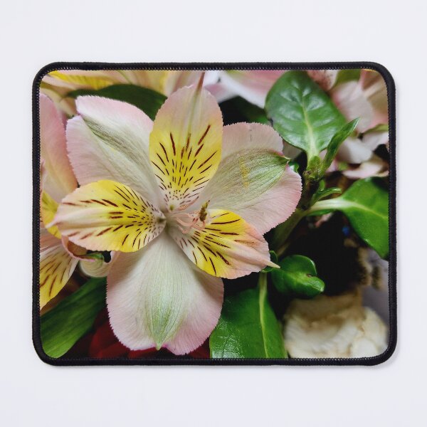 Item preview, Close up of an azalea flower photograph designed and sold by Raineylanes.