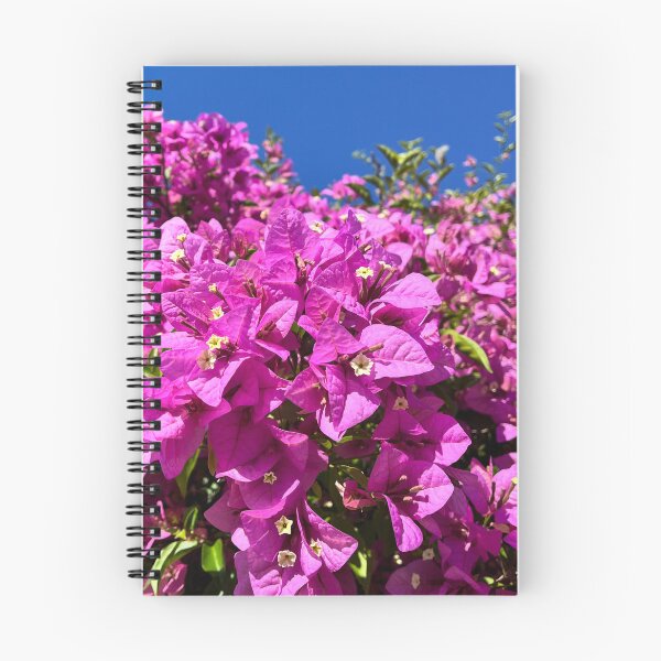 Item preview, Pink Bougainvillea Flowers Against Vibrant Blue Sky Photography designed and sold by Be Captured by Brittany Emma.