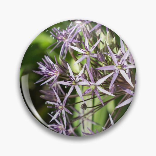 Item preview, Silvery Purple Star of Persia Allium Flower designed and sold by Georgia Mizuleva.