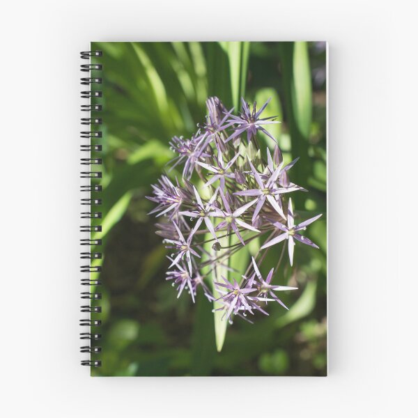 Item preview, Silvery Purple Star of Persia Allium Flower designed and sold by Georgia Mizuleva.