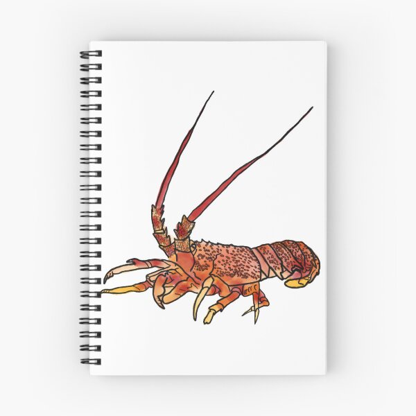 Item preview, Tasmanian Rock Lobster Illustration | Coastal Marine Life Art designed and sold by Bound for Wonder.