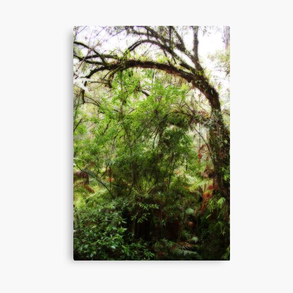 Ferny Canvas Print