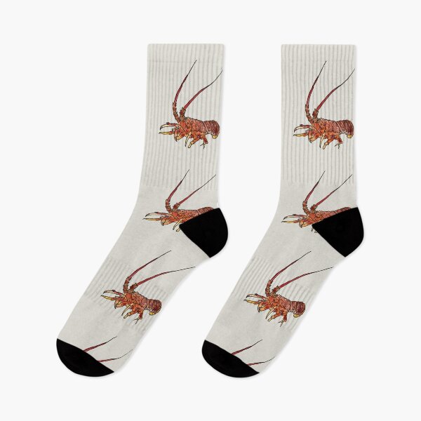 Item preview, Tasmanian Rock Lobster Illustration | Coastal Marine Life Art designed and sold by Bound for Wonder.