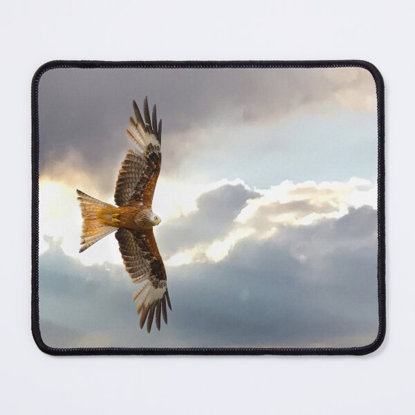 Item preview, Red Kite in flight designed and sold by inspireyoureyes.
