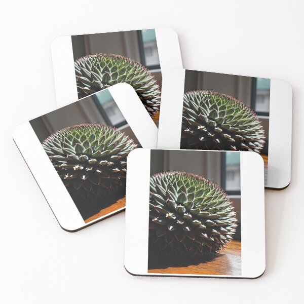 Artikelvorschau, Plants - Spherical Cactus, Close-up with Dramatic Light entworfen und verkauft von Reverso-Design.