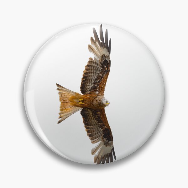 Item preview, Red Kite in flight designed and sold by inspireyoureyes.
