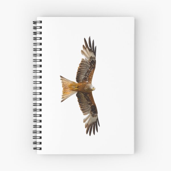 Item preview, Red Kite in flight designed and sold by inspireyoureyes.