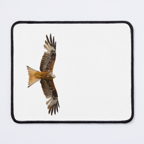 Item preview, Red Kite in flight designed and sold by inspireyoureyes.