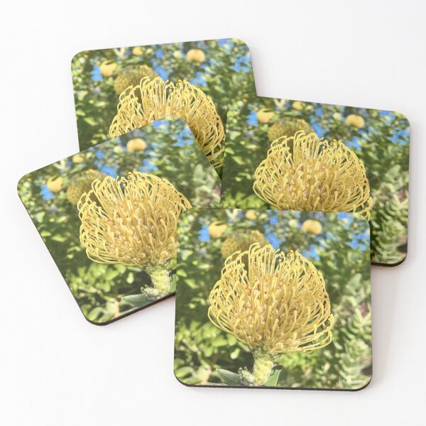 Item preview, Golden Leucospermum Pincushion Protea Botanical Photography designed and sold by Be Captured by Brittany Emma.