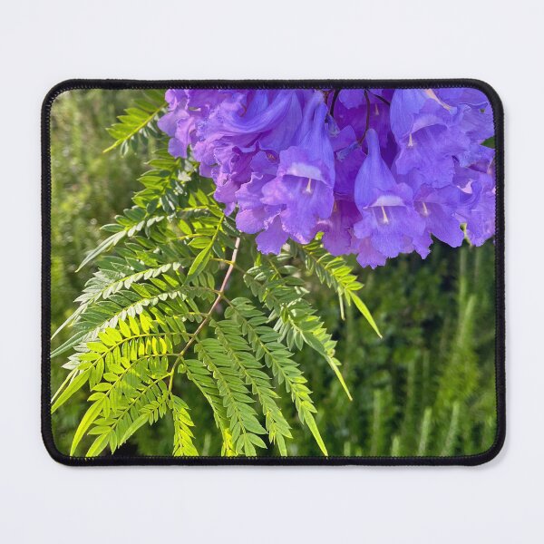 Item preview, Purple Jacaranda Blossoms Hanging From Tree Branch designed and sold by Be Captured by Brittany Emma.