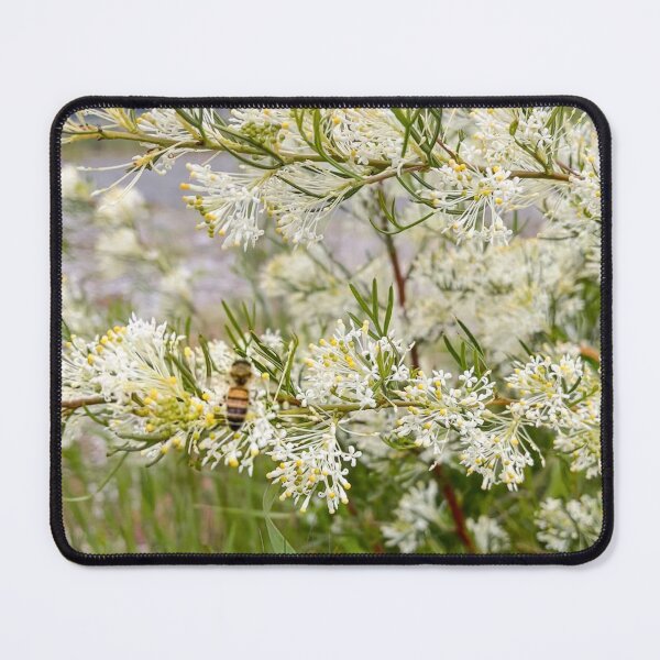 Item preview, Honey Bee Pollinating Grevillea Curviloba Native Flower designed and sold by Be Captured by Brittany Emma.