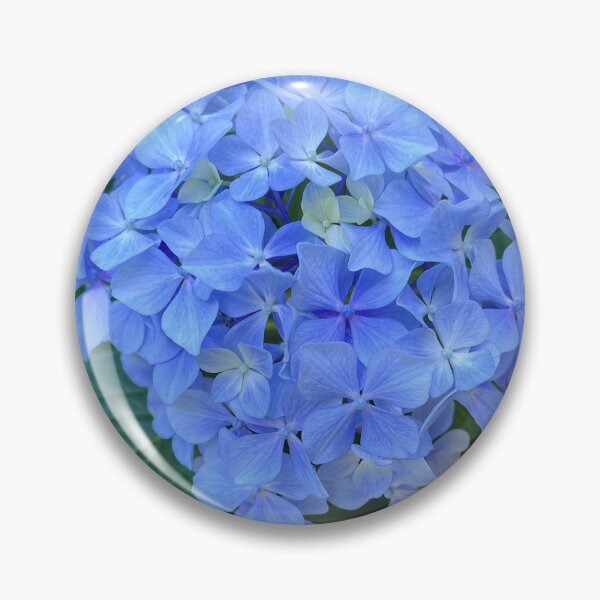 Item preview, Blue Hydrangea Flower Cluster Garden Photography designed and sold by Be Captured by Brittany Emma.