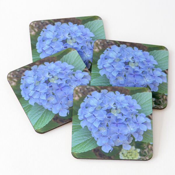 Item preview, Blue Hydrangea Flower Cluster Garden Photography designed and sold by Be Captured by Brittany Emma.