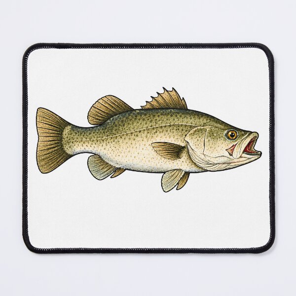 Item preview, Barramundi Classic Sportfishing Fish Artwork Design designed and sold by WhoopWhoopCo.
