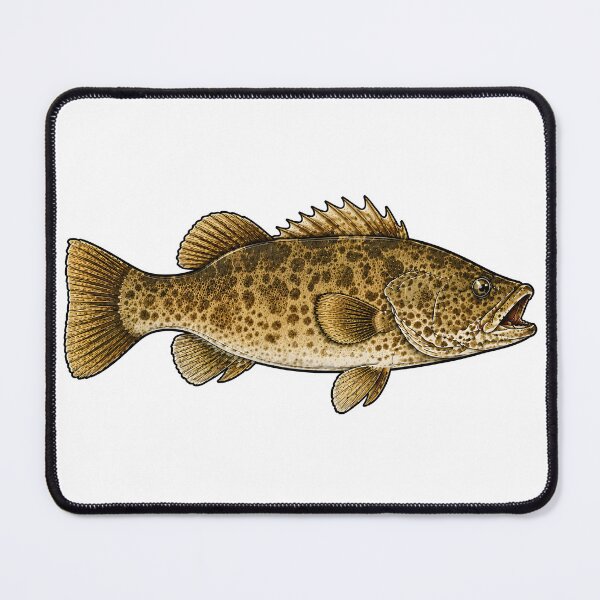 Item preview, Cod Classic Freshwater Angler Artwork Design designed and sold by WhoopWhoopCo.