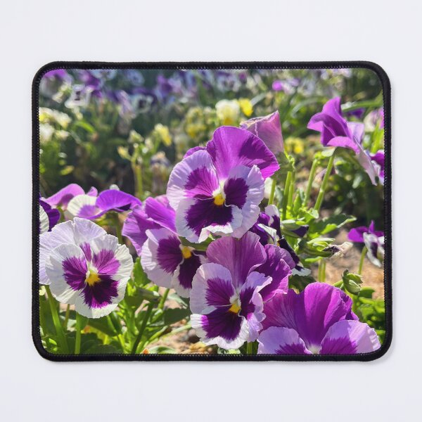 Item preview, Purple And White Pansies Flower Garden Photography designed and sold by Be Captured by Brittany Emma.