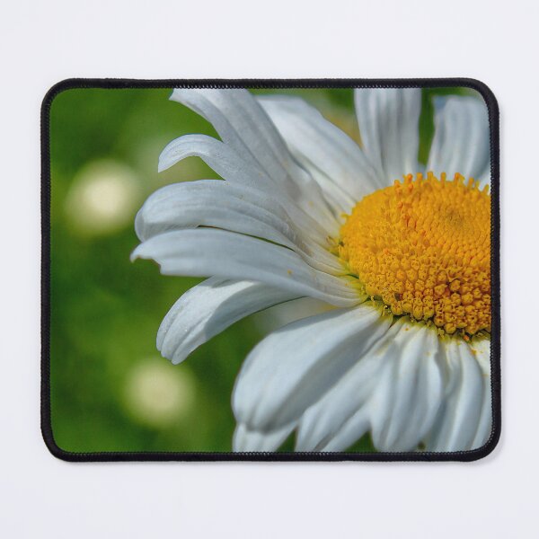 Item preview, Close up of an Oxeye daisy designed and sold by Pixel1701.