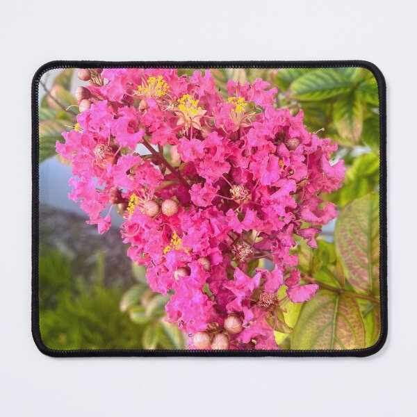 Item preview, Pink Crepe Myrtle Flowers Summer Garden Photography designed and sold by Be Captured by Brittany Emma.
