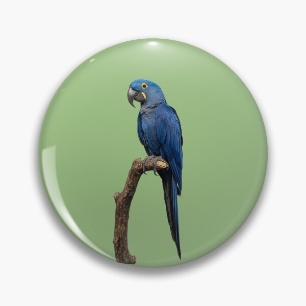 Item preview, Hyacinth Macaw designed and sold by ArunDandiboina.