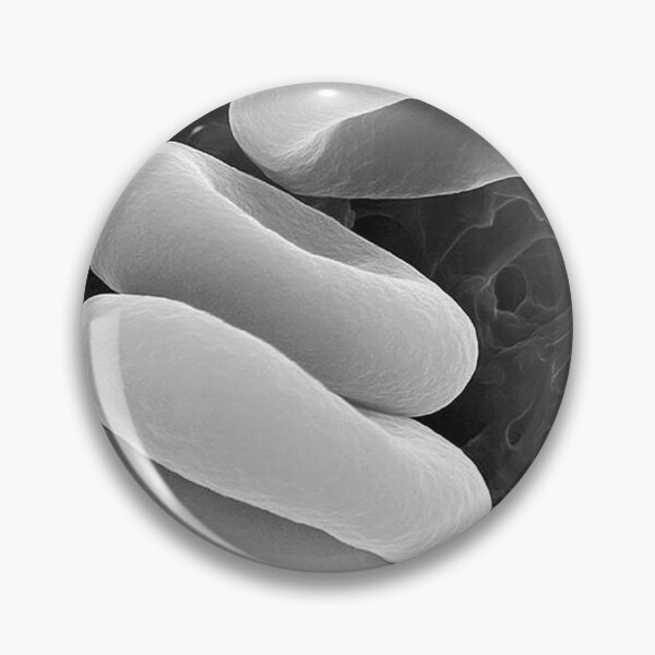 Item preview, Rouleau Formation – Architecture of Human Blood designed and sold by LuluLeb.